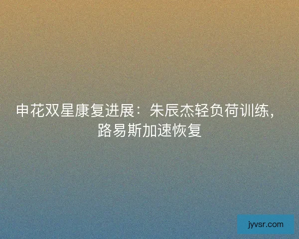 申花双星康复进展：朱辰杰轻负荷训练，路易斯加速恢复