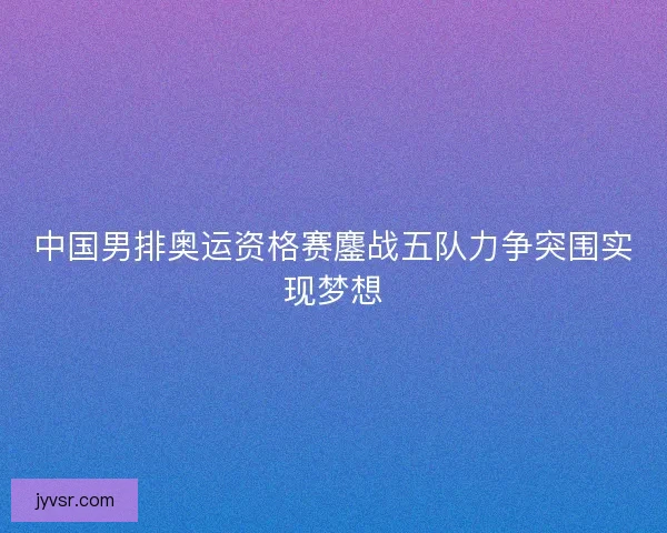 中国男排奥运资格赛鏖战五队力争突围实现梦想